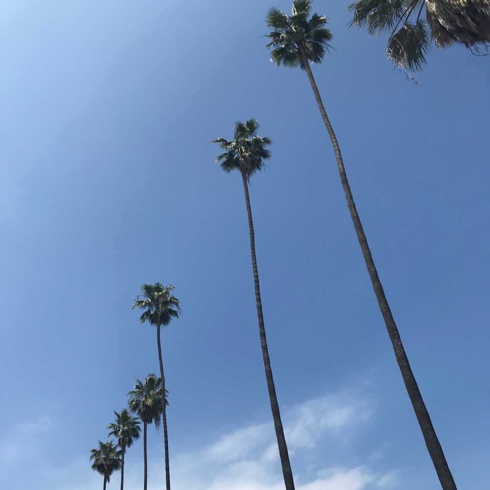 Meet your Posher, Cici